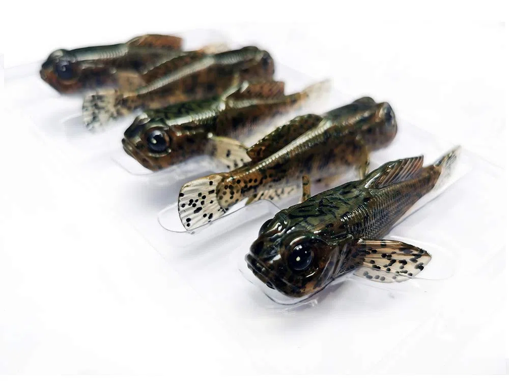 5 Pcs 75 millimetri Ghiozzo Richiamo Morbido Esche Esche Da Pesca 3 pollici 9.3g Spigola Pesce Migliore Dettagliata PVC plastica Swimbaits