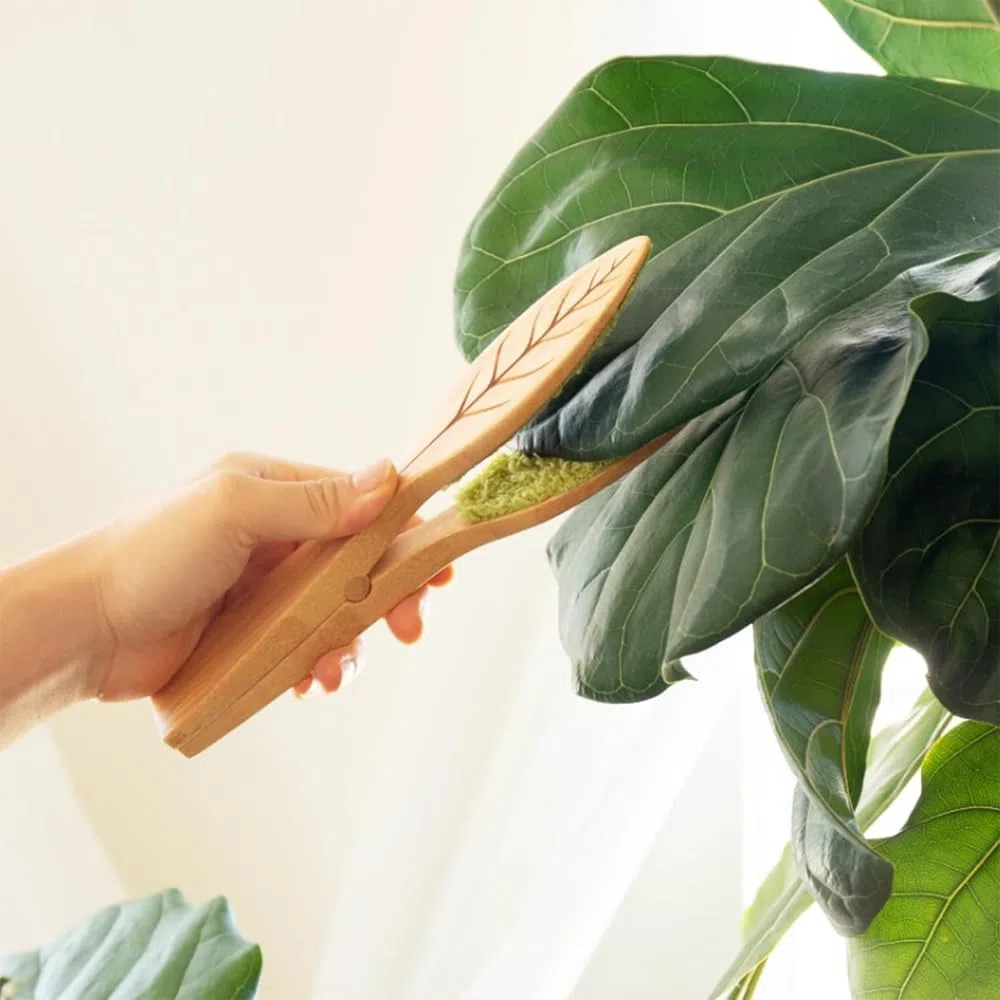 Shirene Pinze per La Pulizia delle Foglie,Spazzole per Pulire Piante Naturali Spolverino Riutilizzabile per la Cura delle Piante per Una Delicata Rimozione della Polvere e Una Pulizia Domestica