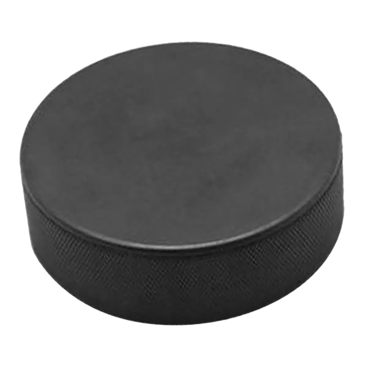 Disco Hockey su Ghiaccio in PU Resistente all'Usura per Allenamento e Pratica Adatto a Ragazzo e Adulti per ed Esterni e Facile da Trasportare