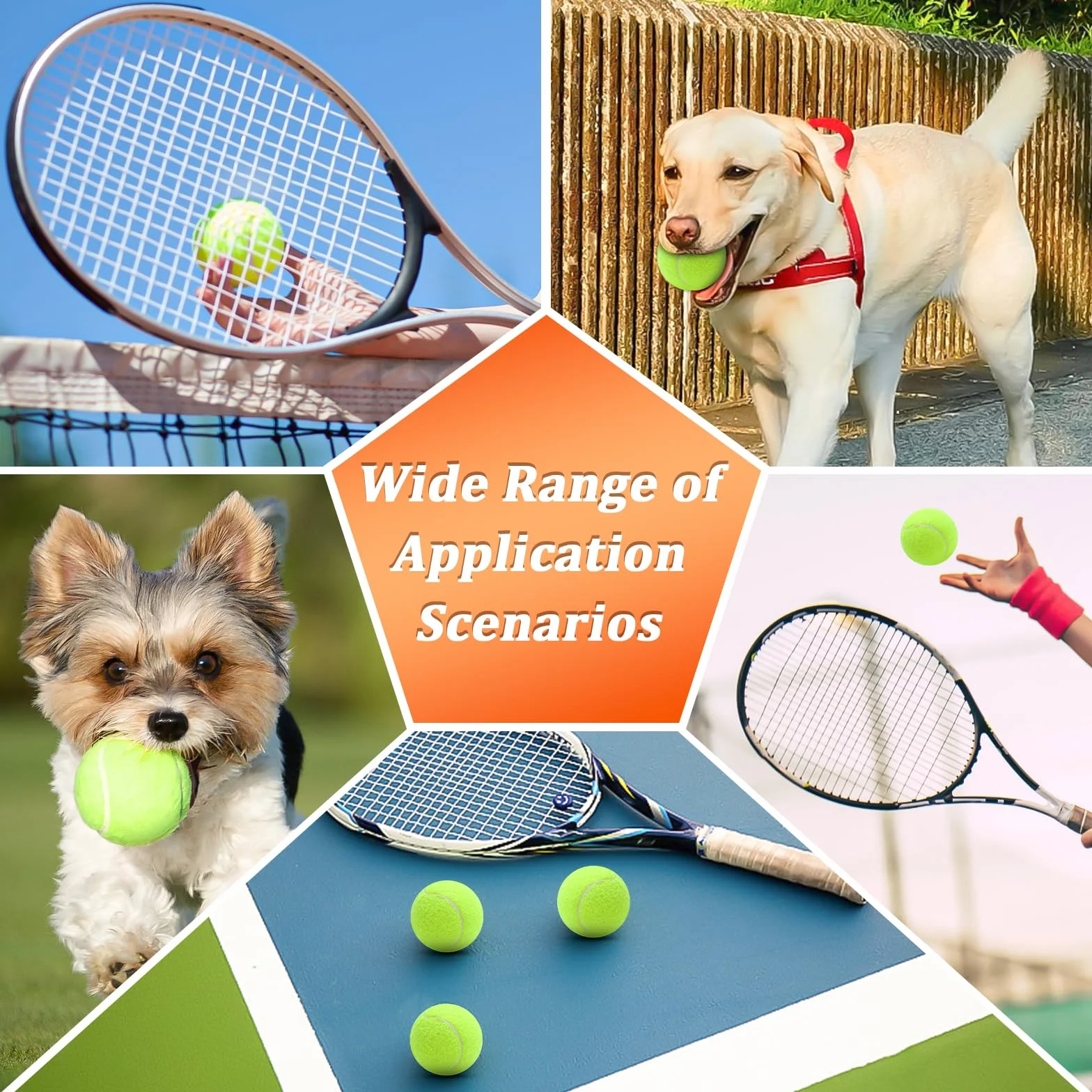 6 Pezzi Palline da Tennis, Palla Allenamento Tennis, Alto Rimbalzo Pallina, per Esercizi di Allenamento per Gare di Club scolastici Gioca con Gatti Cani Sport all'Aria Aperta