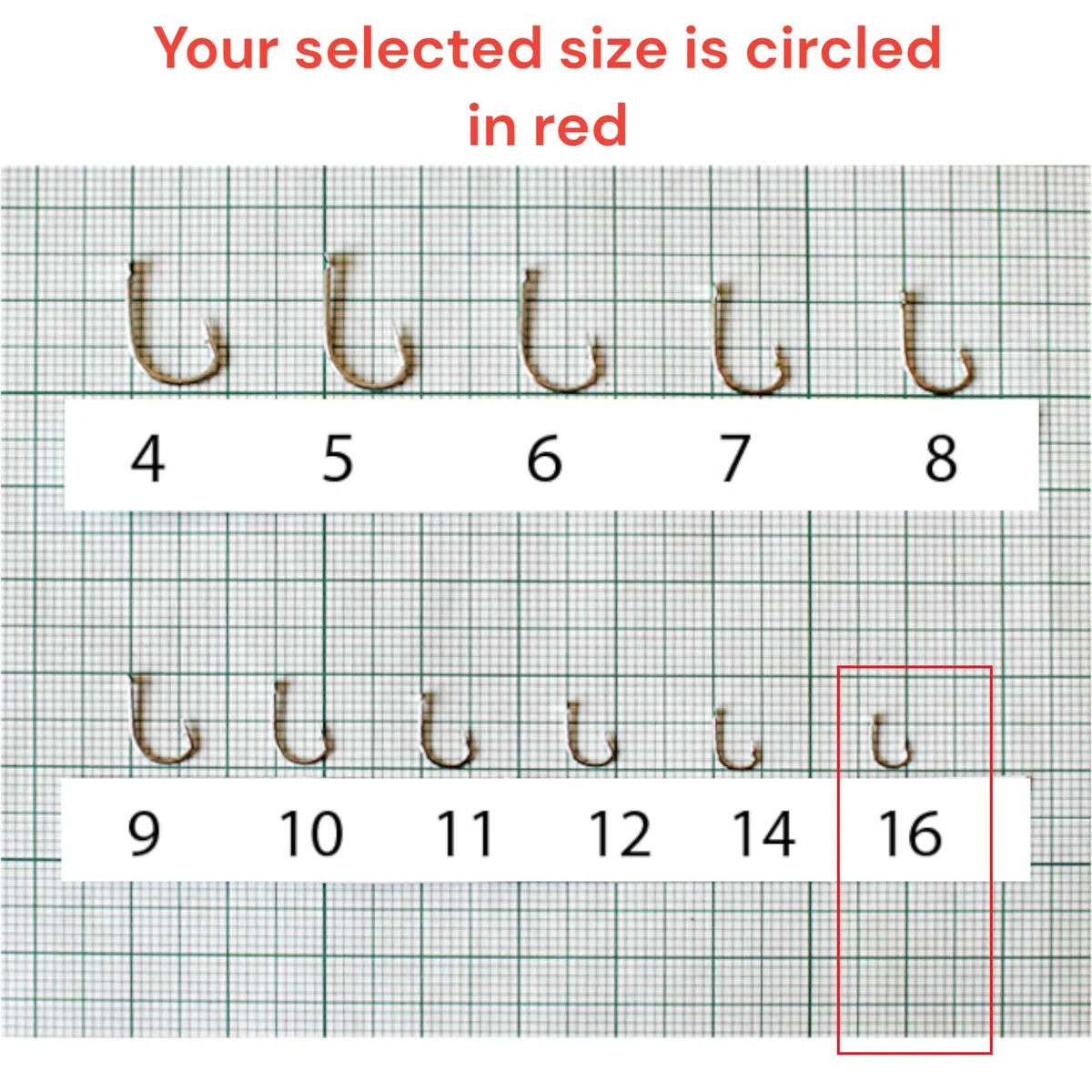 Set di 10 Ami da Pesca Legati TANAGO N16 - Filo da Pesca Monofilo DIA 0,10mm 50cm - Monofilamento - Articoli - Accessori - Attrezzatura Completo - Fishing Hooks Sport Set - Carpfishng Kit